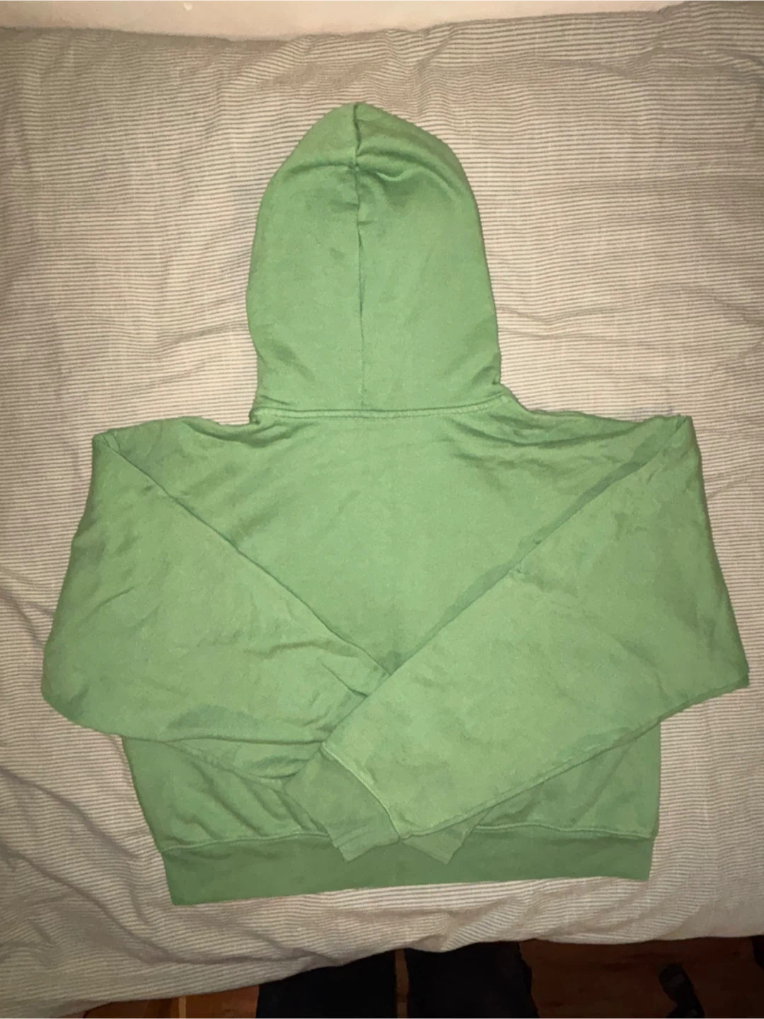 Aritzia/TNA  Green Cropped Zip-Up Hoodie - photo 2