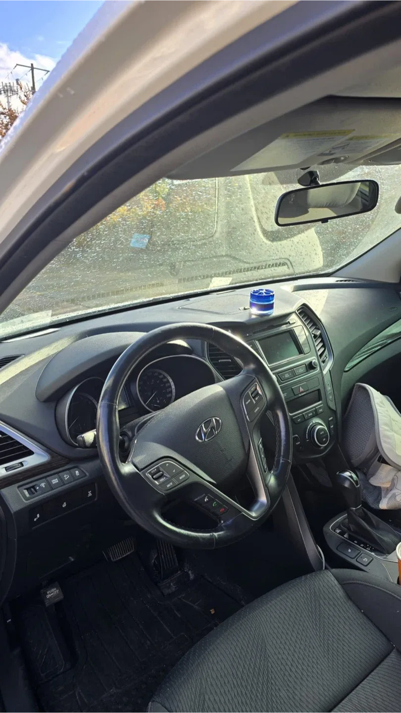 Hyundai santafe 2017