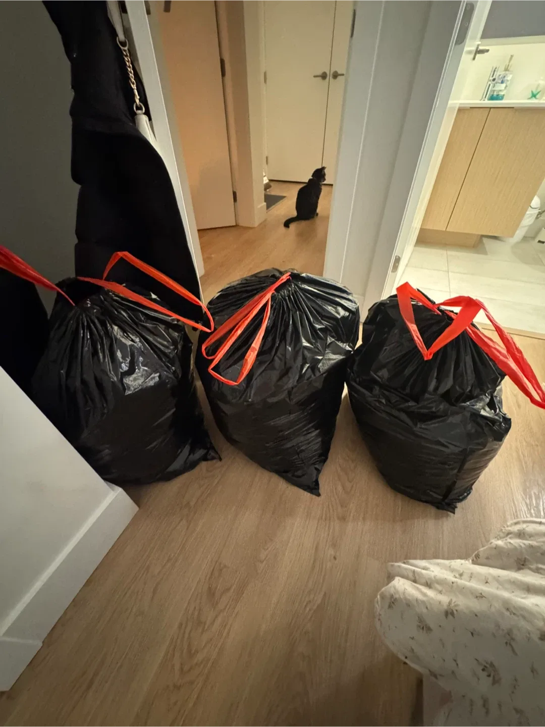 Huge closet clean out