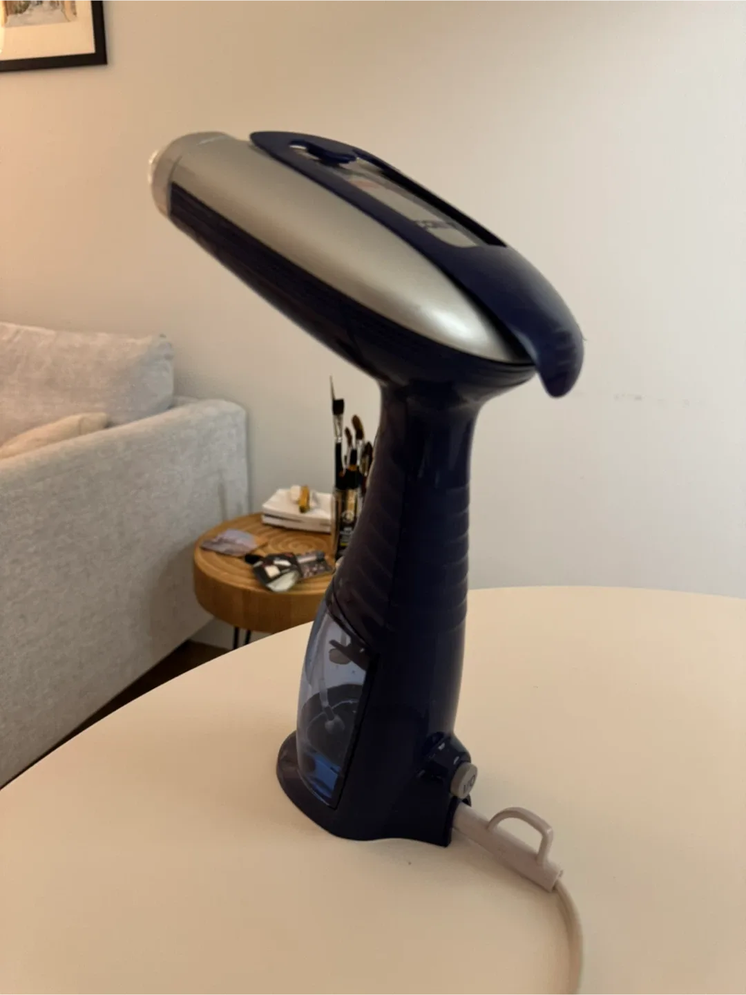 Portable Garment Steamer image indicator(2)