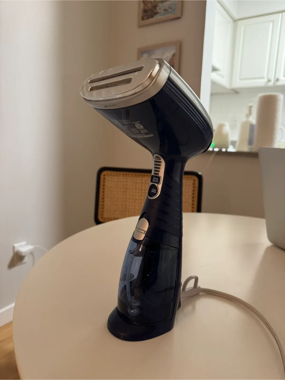 Portable Garment Steamer