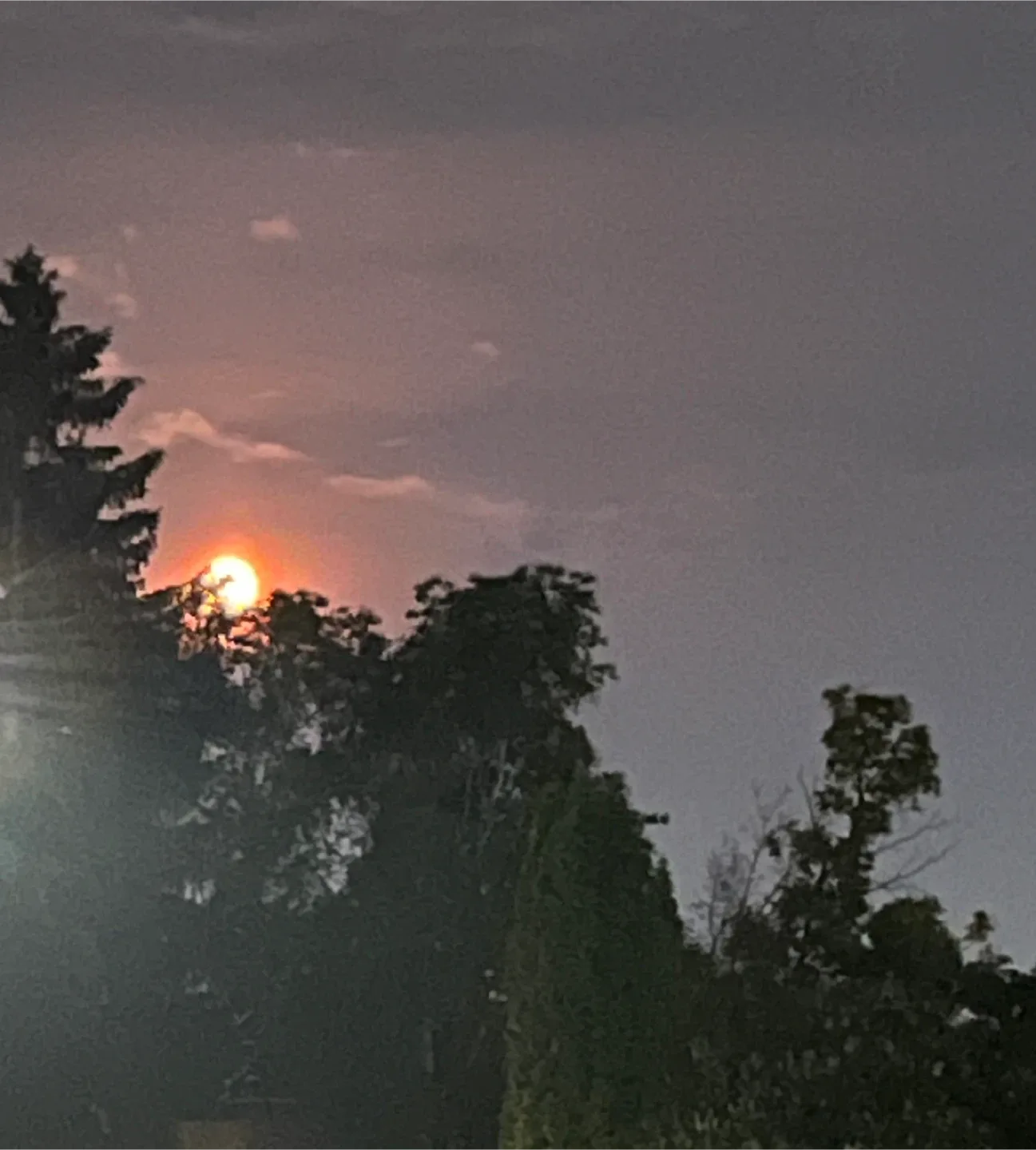 Pair of Navy Blue Lamps - 32" Height image indicator(8)