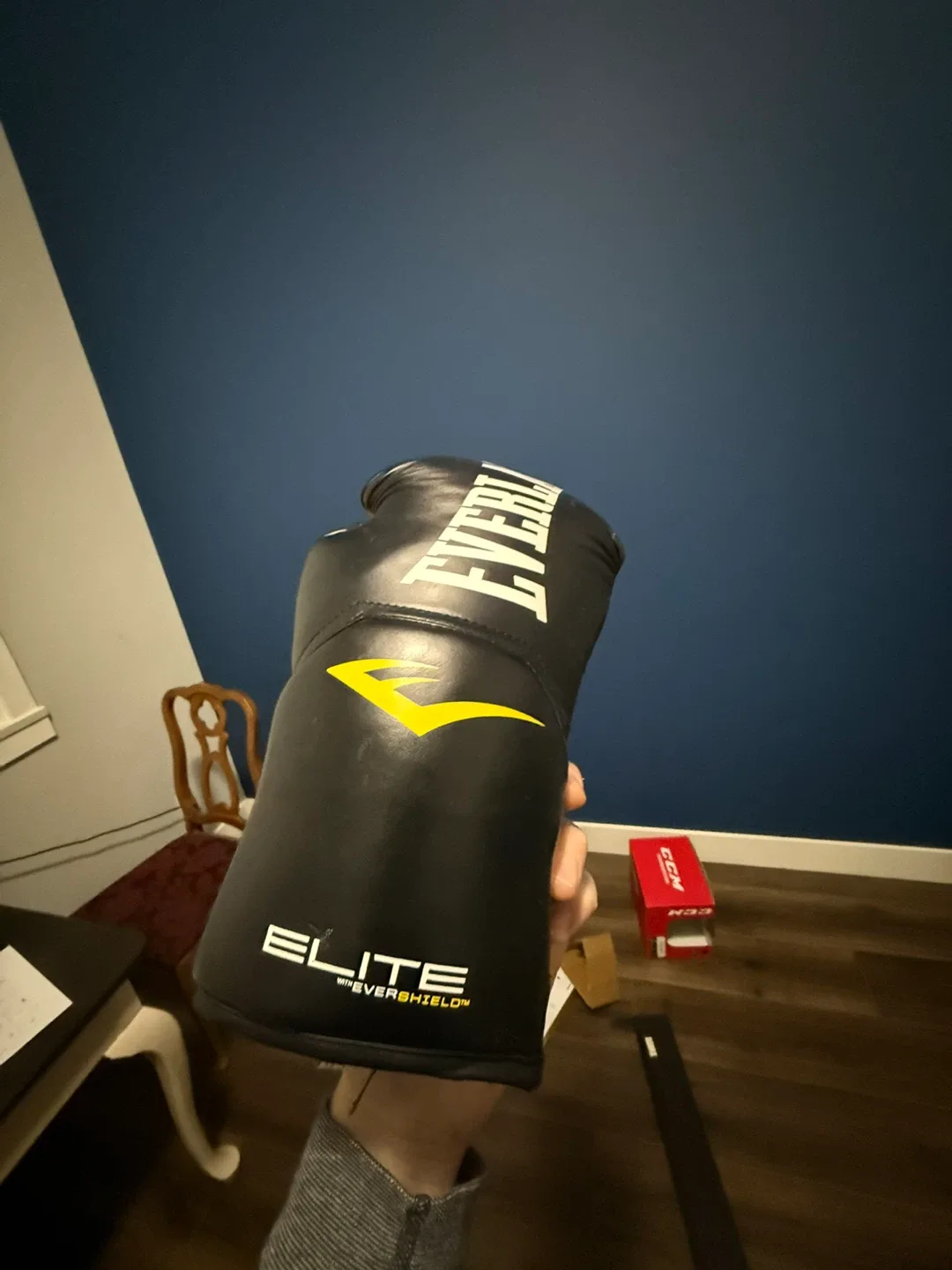 Everlast Elite Boxing Gloves & Punch Pad image indicator(4)