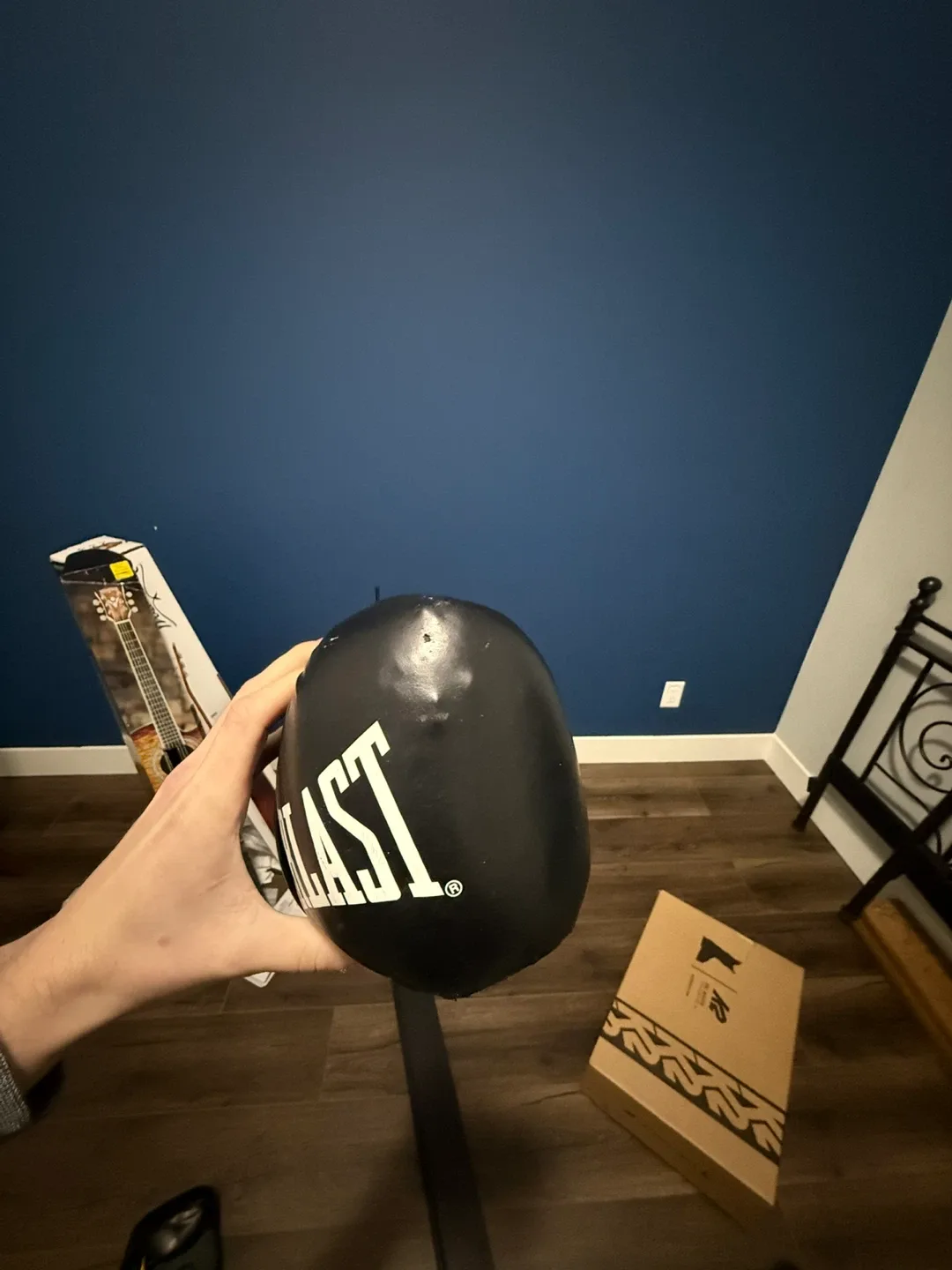 Everlast Elite Boxing Gloves & Punch Pad image indicator(5)