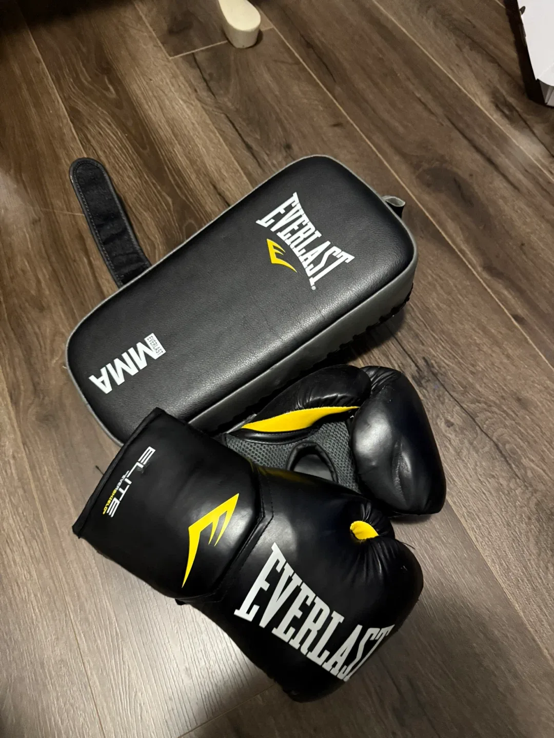 Everlast Elite Boxing Gloves & Punch Pad