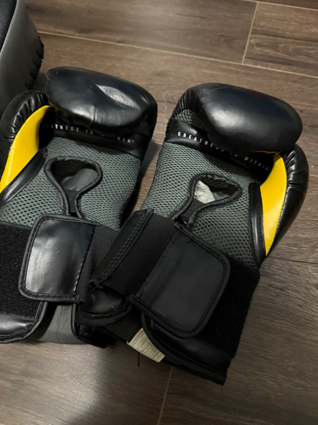 Everlast Elite Boxing Gloves & Punch Pad image indicator(2)