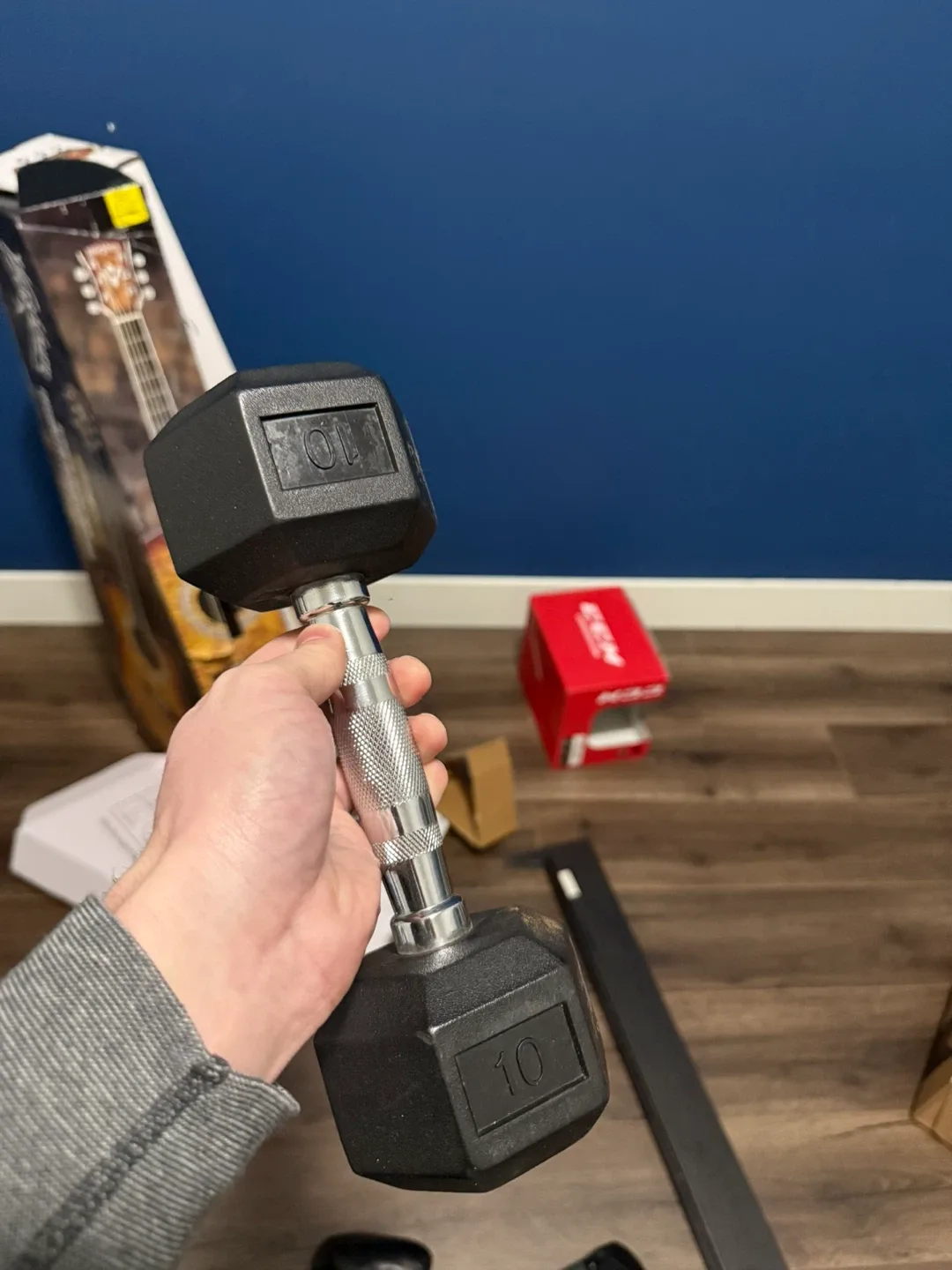 10 lb Hex Dumbbells (x2)