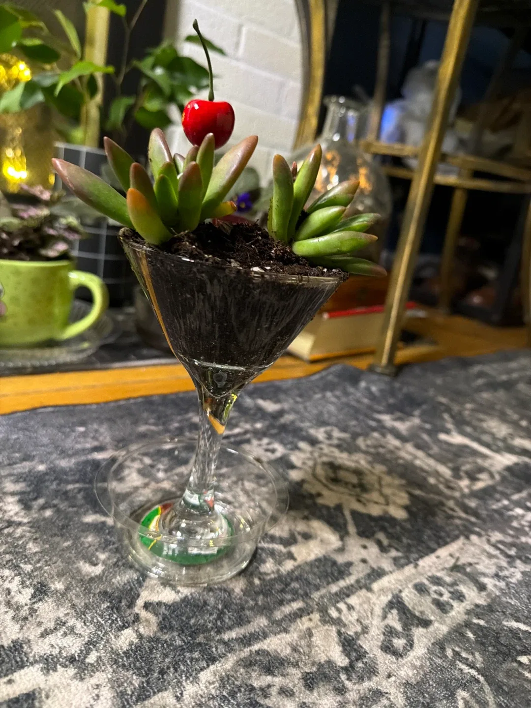 Christmas plants sale image indicator(5)