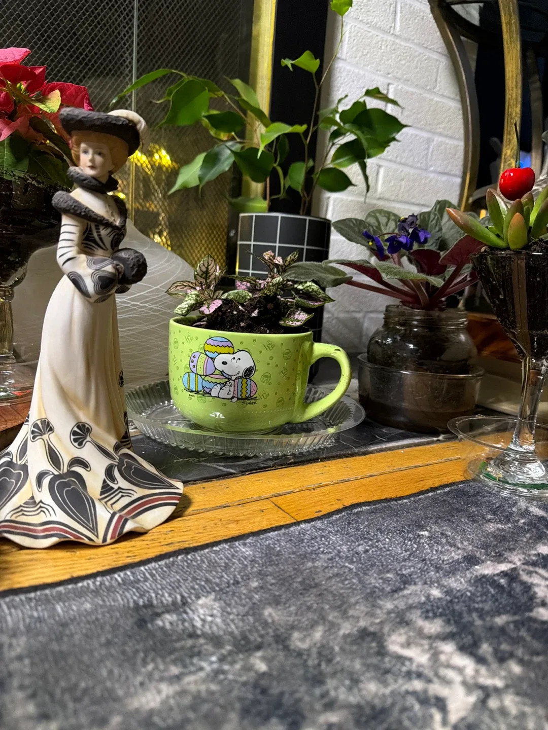 Christmas plants sale image indicator(4)