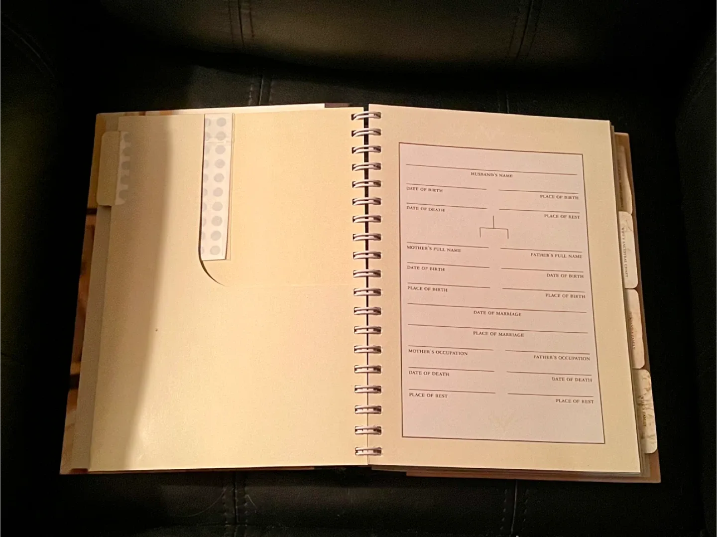 #cleanout NEW Our Family History Log Book image indicator(3)