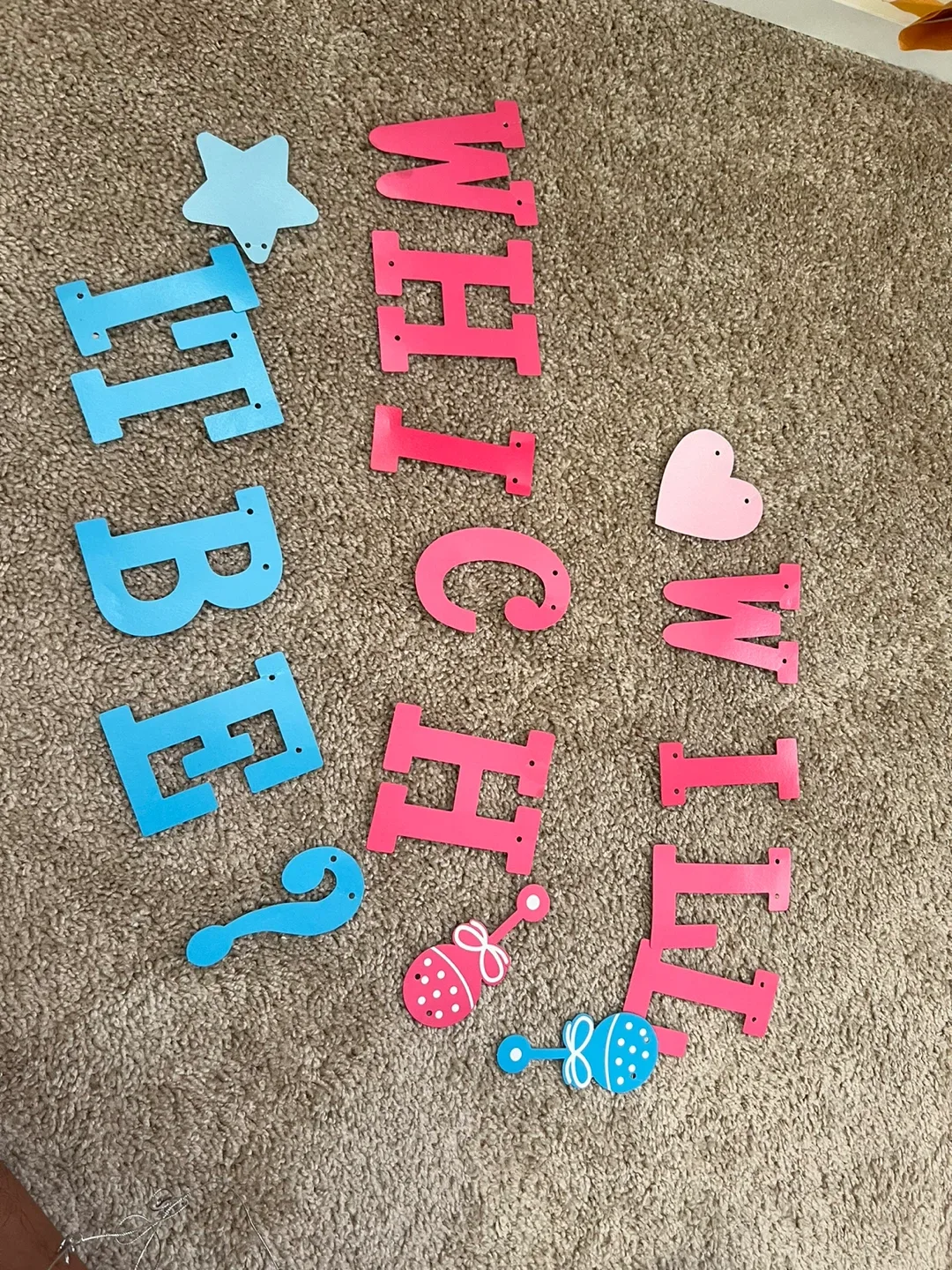 Baby Gender Reveal Party Supplies