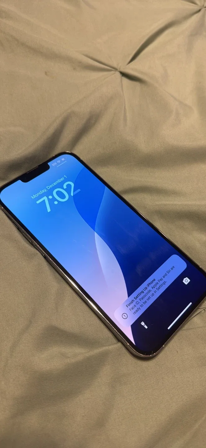 iPhone 13 Pro Max 256gb image indicator(2)