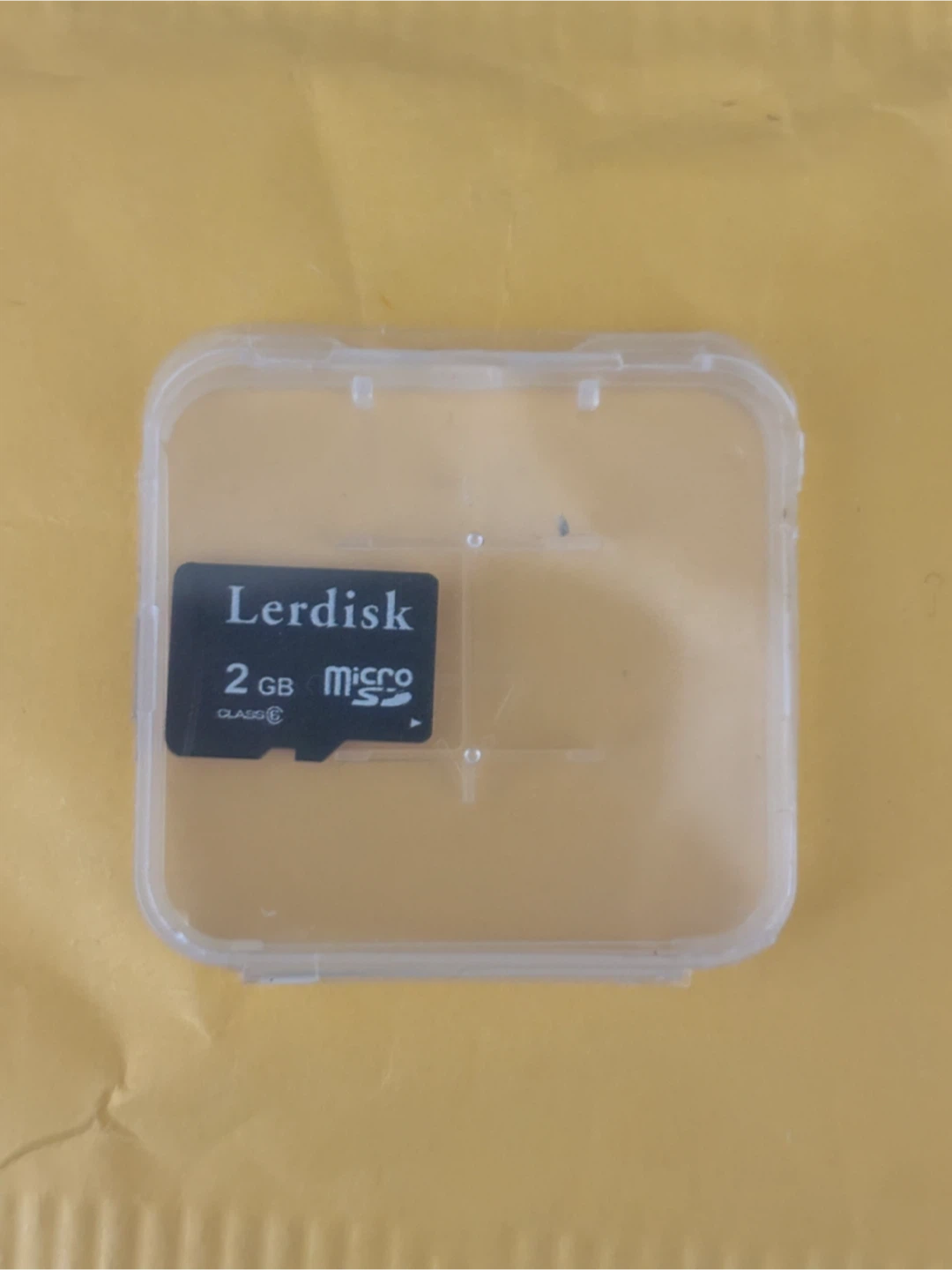 Lerdisk 2GB Micro SD Card