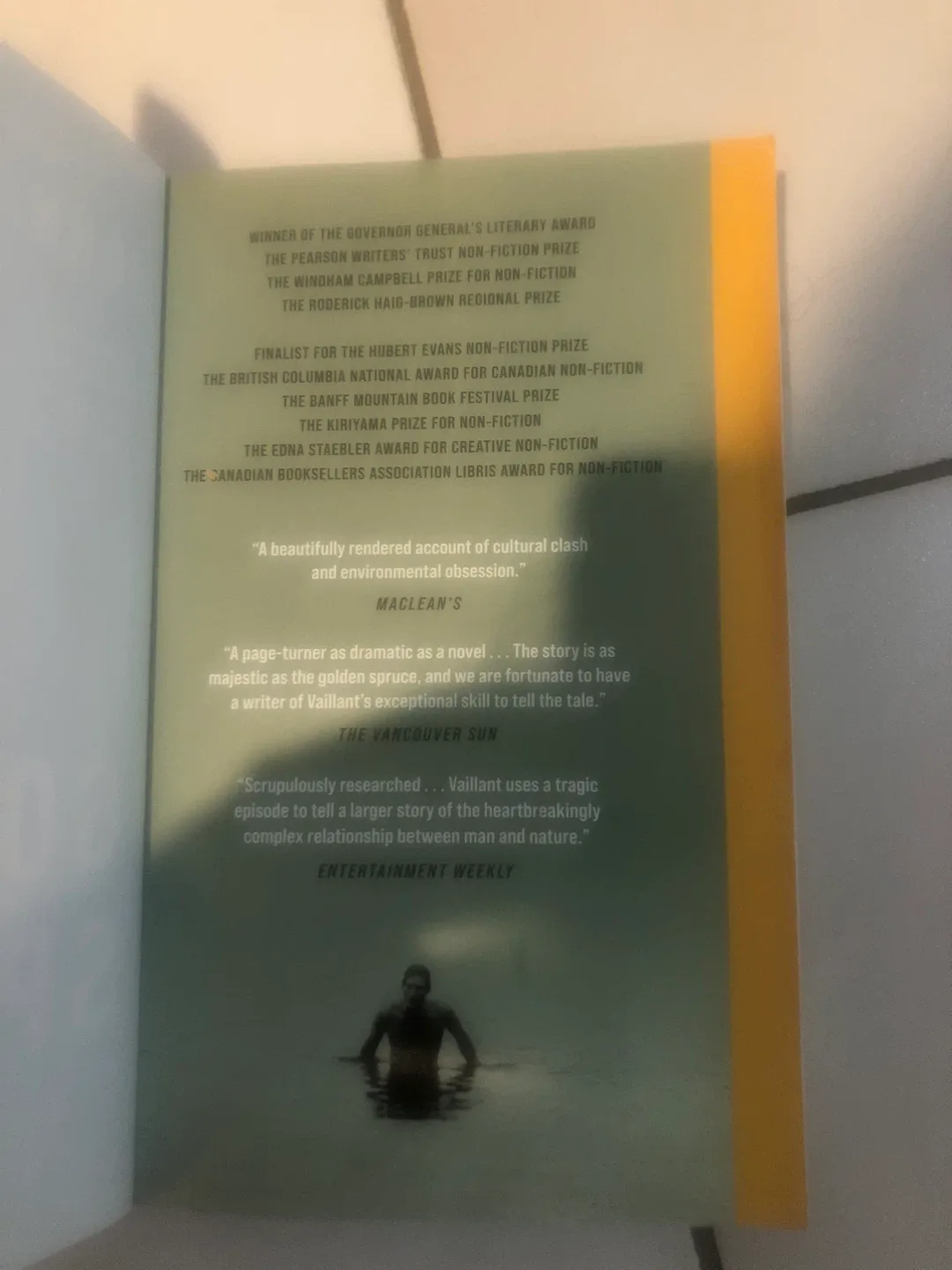 The Golden Spruce #Cleanout image indicator(2)