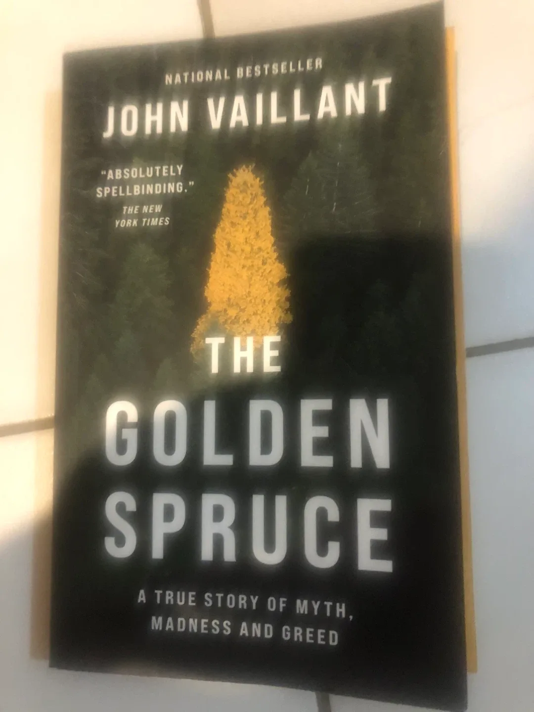 The Golden Spruce #Cleanout