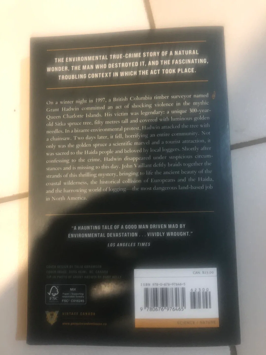 The Golden Spruce #Cleanout image indicator(3)