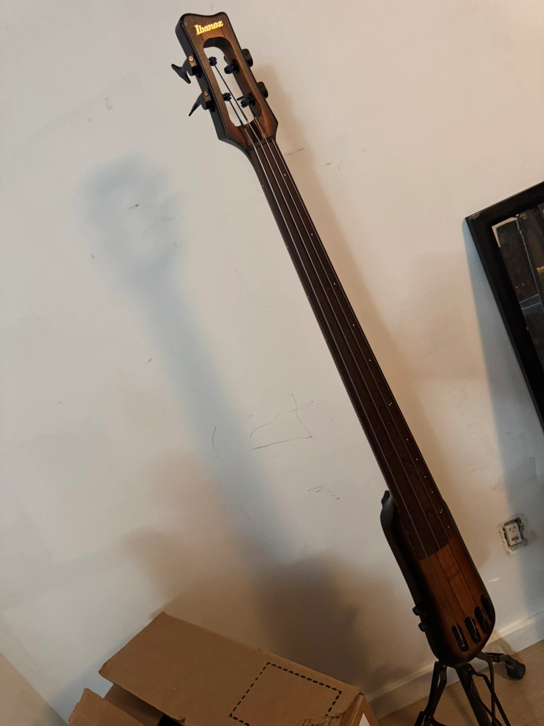 Ibanez Portamento Fretless Bass Guitar with bow