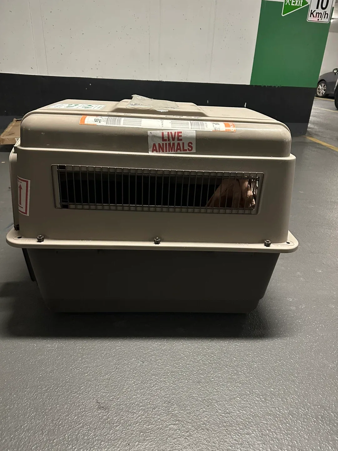 Airline-Approved Pet Travel Crate image indicator(2)