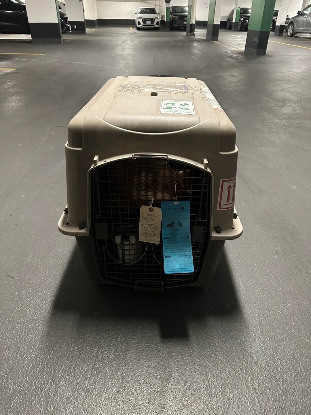 Airline-Approved Pet Travel Crate