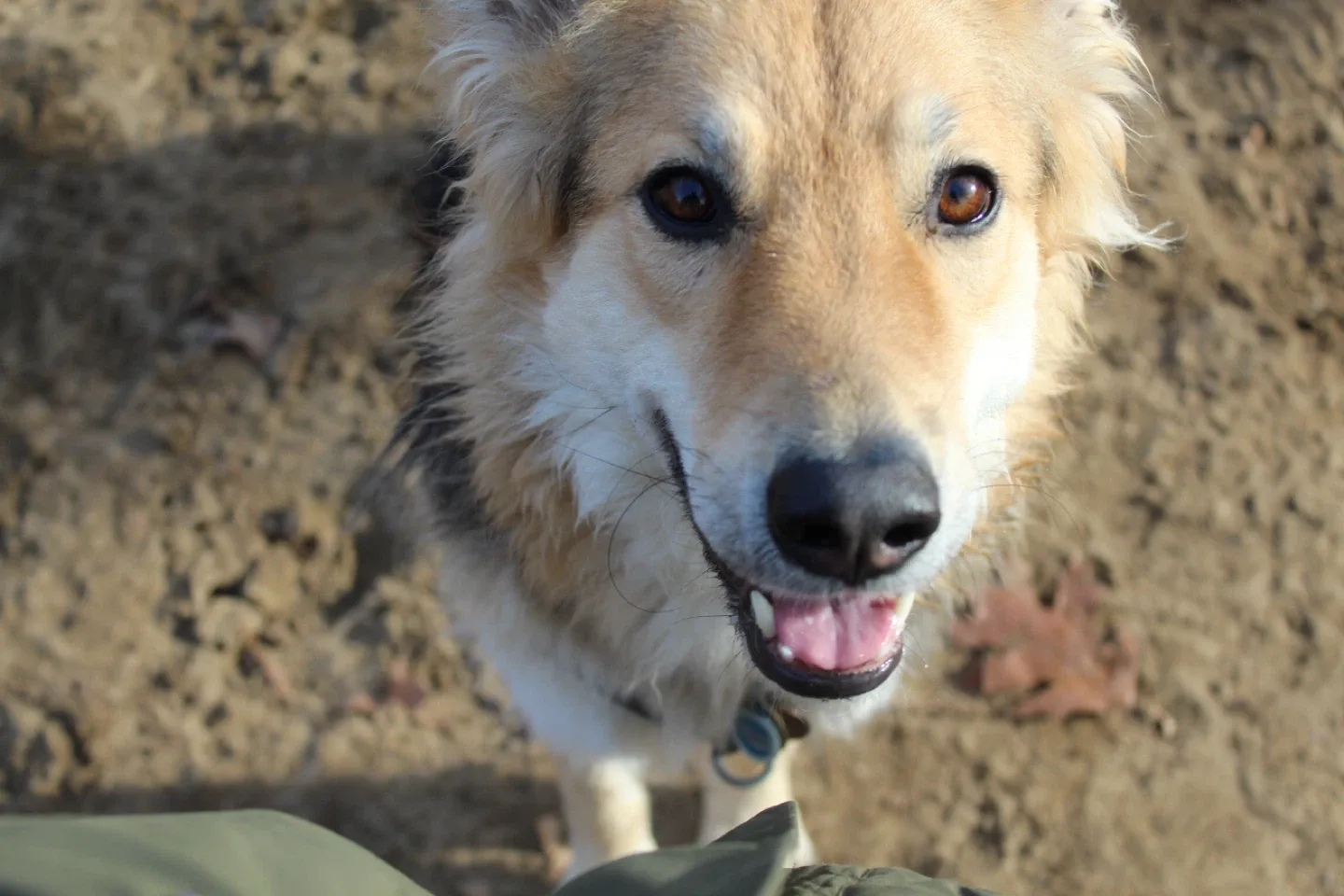 Free Photoshoot for Experience 📸🌺 image indicator(4)