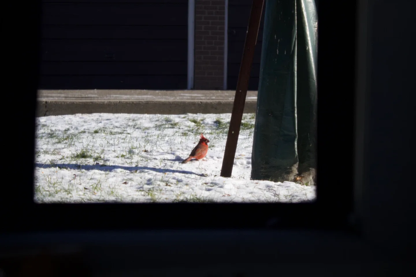 Free Photoshoot for Experience 📸🌺 image indicator(3)