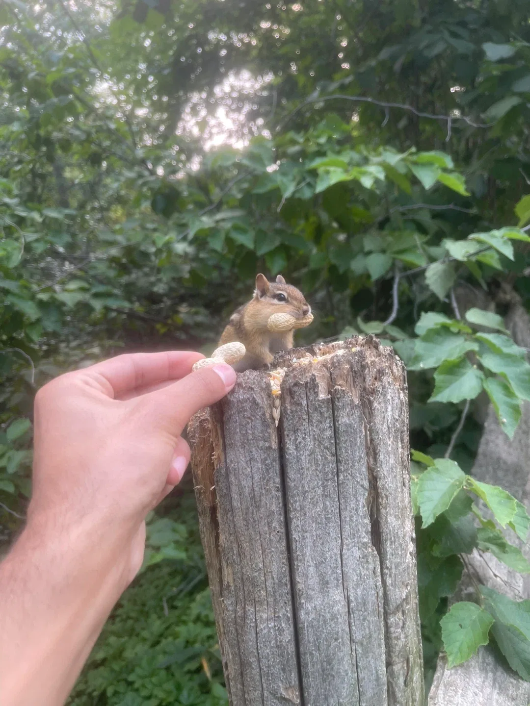 Free Photoshoot for Experience 📸🌺 image indicator(5)