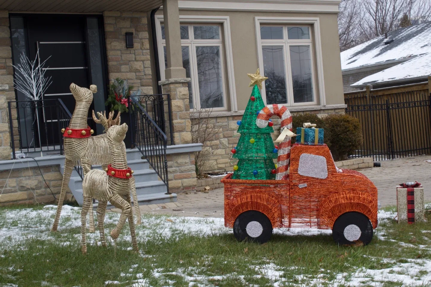 Free Photoshoot for Experience 📸🌺