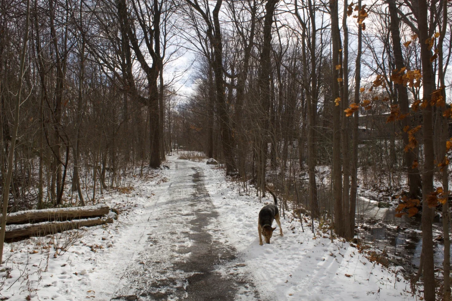 Free Photoshoot for Experience 📸🌺 image indicator(2)