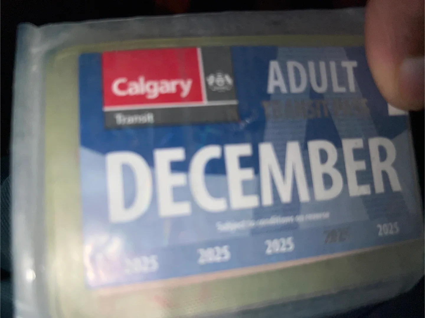 Calgary Transit Adult December 2025 Pass