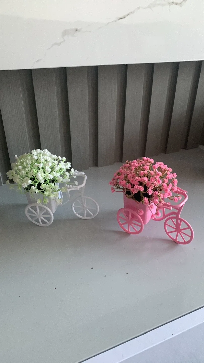 Pink & White Decorative Bicycle Planters