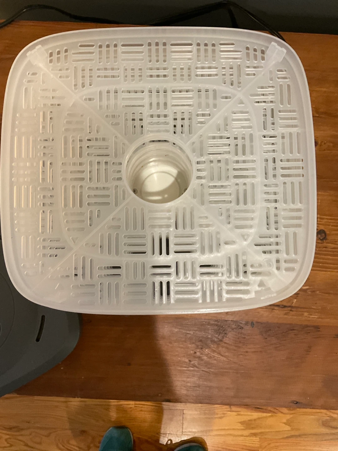 DASH Food Dehydrator - photo 3