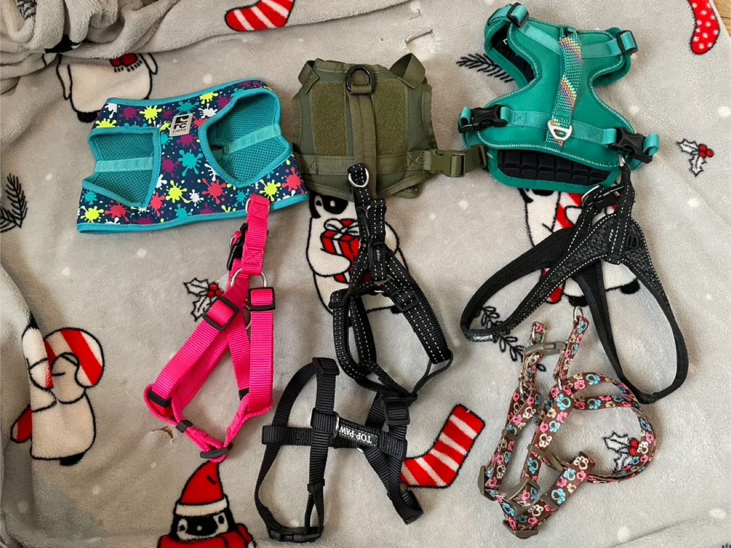 8pc Small Dog Harnesses Lot