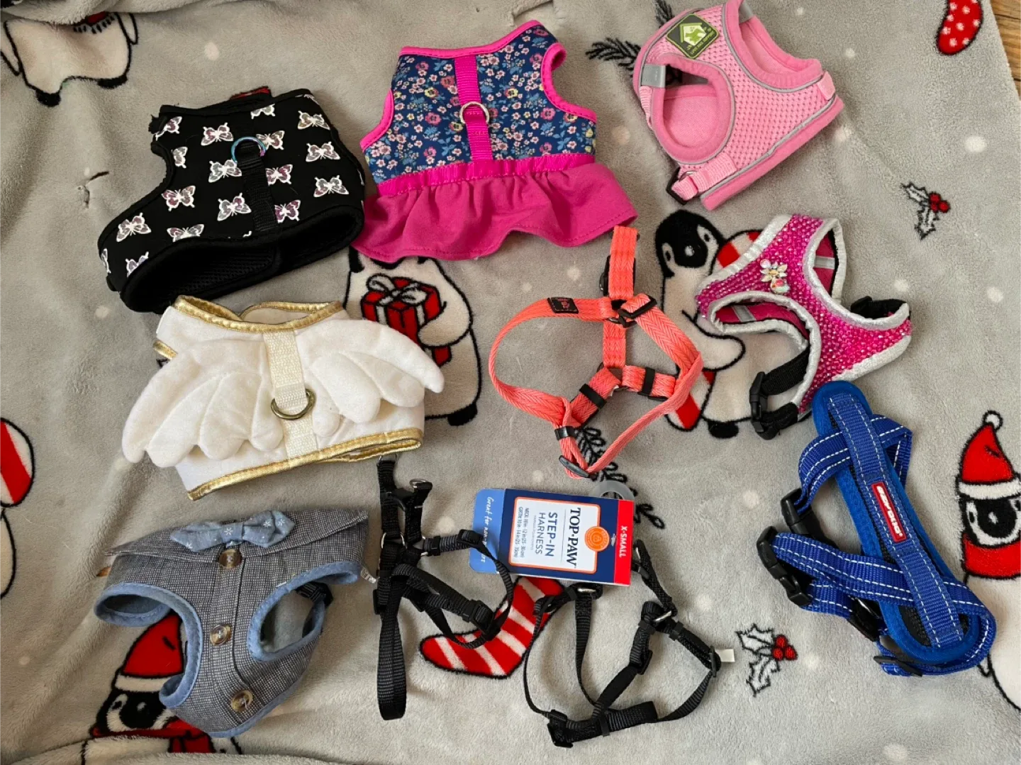 10pc XS Dog Harnesses Lot