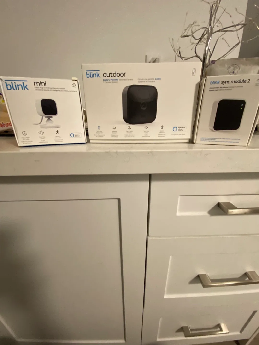 Blink Mini, Outdoor, Sync Module 2