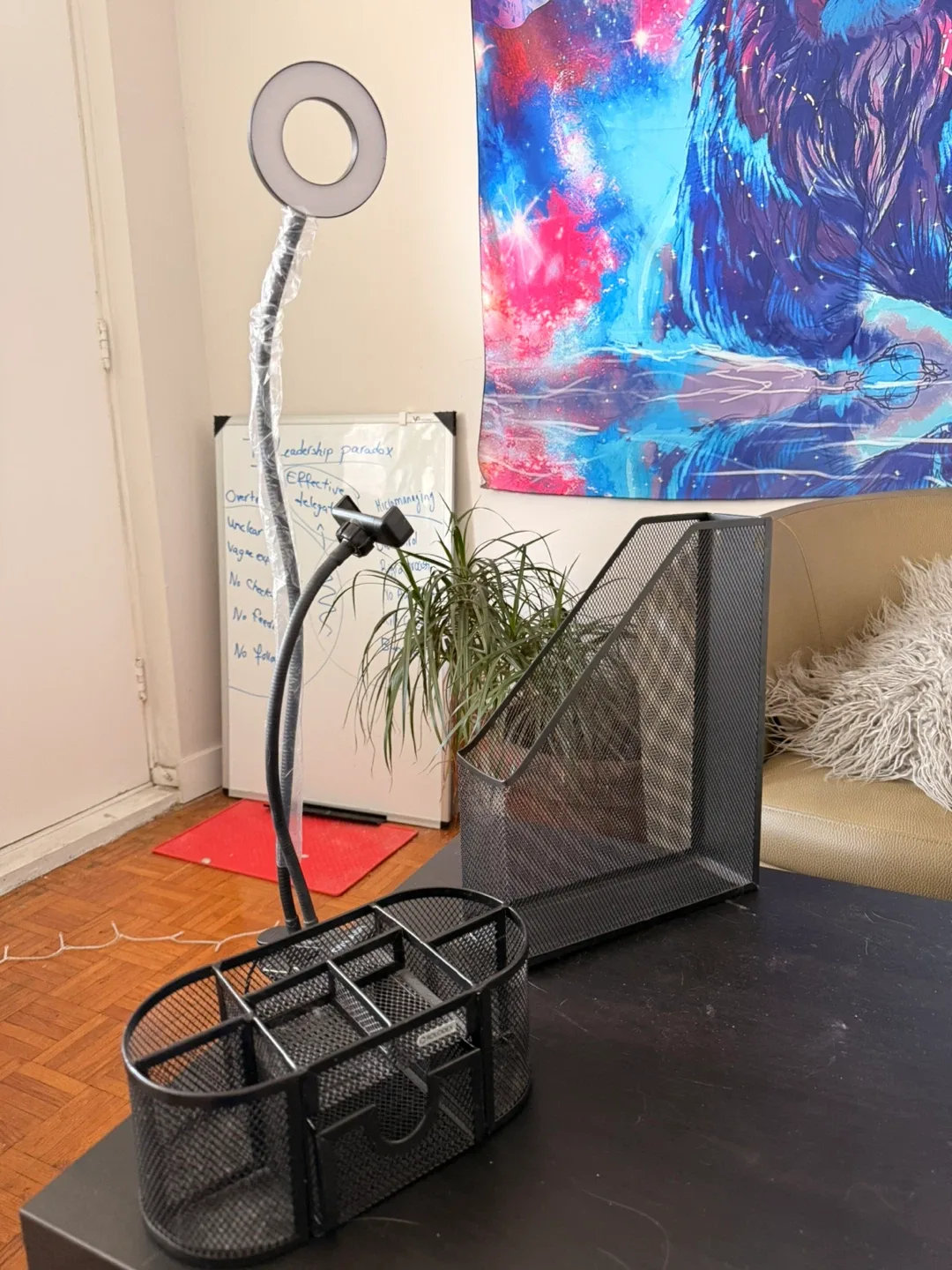 Desk Organizer & Ring Light