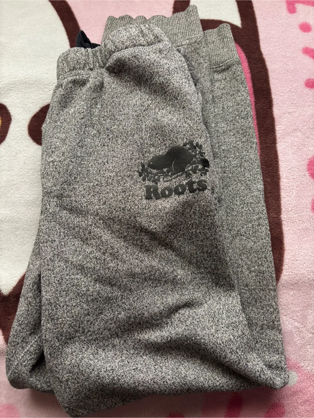 (Roots) Hoodie & Sweatpants Set - Size Men Medium image indicator(3)