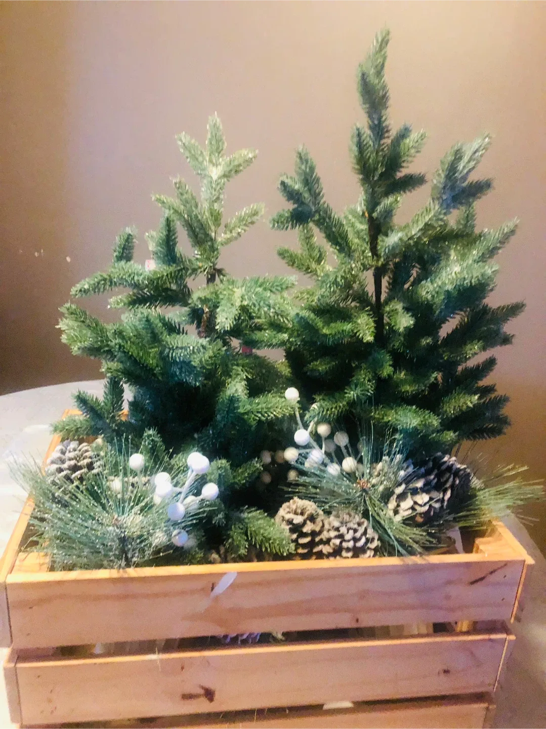 Christmas Evergreen Trees Decor in Crate Wood Box #Cleanout image indicator(4)