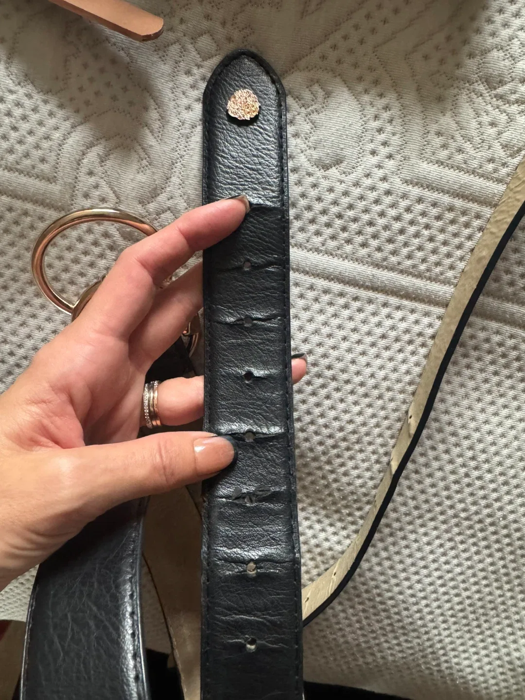 Vince Camuto Black Leather Belt image indicator(3)