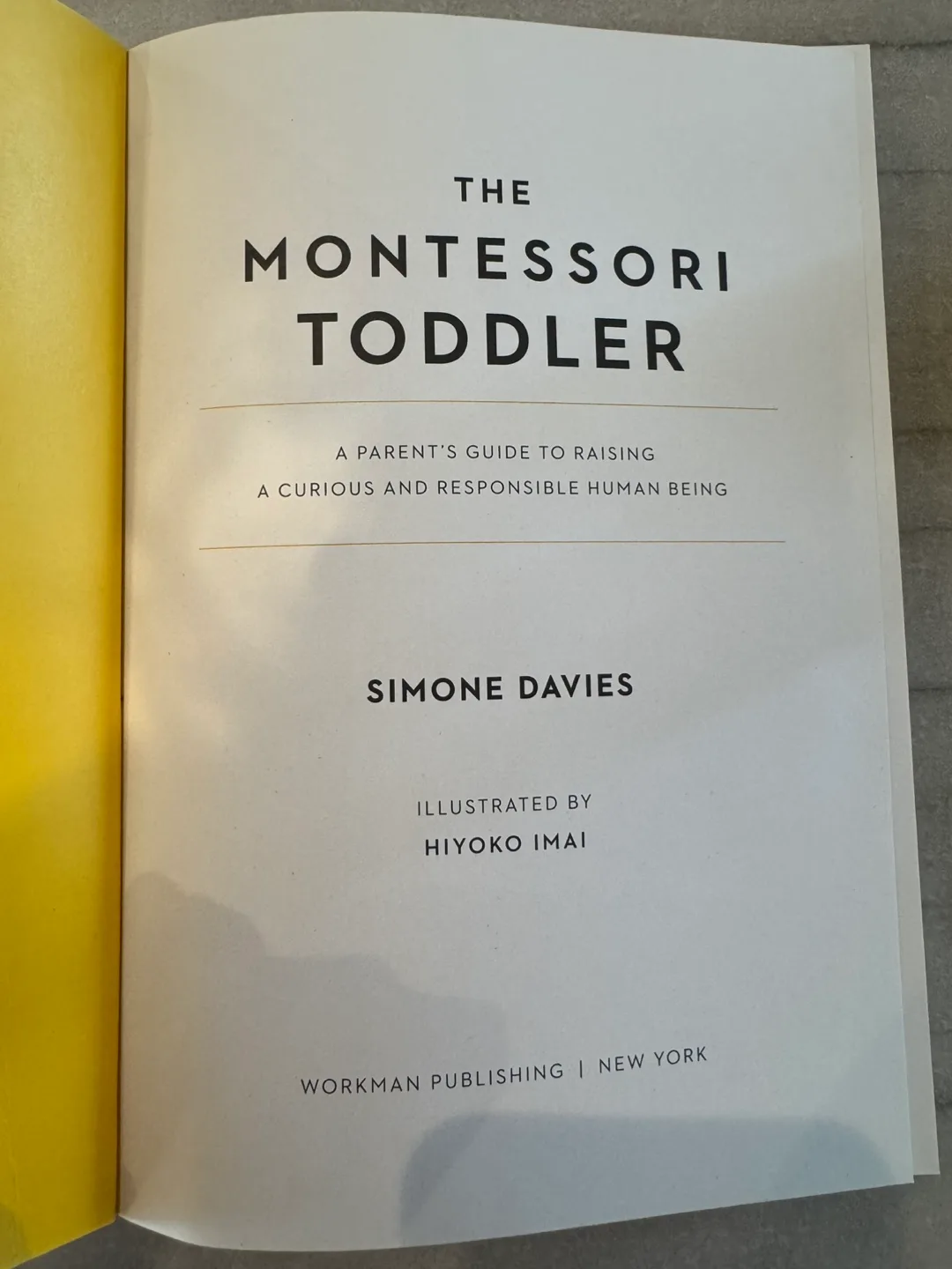 The Montessori Toddler Book image indicator(3)