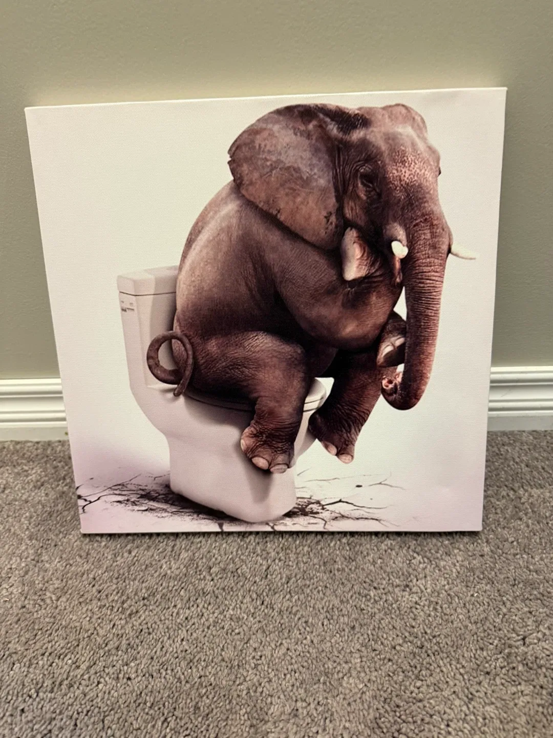 Elephant on Toilet Canvas Print
