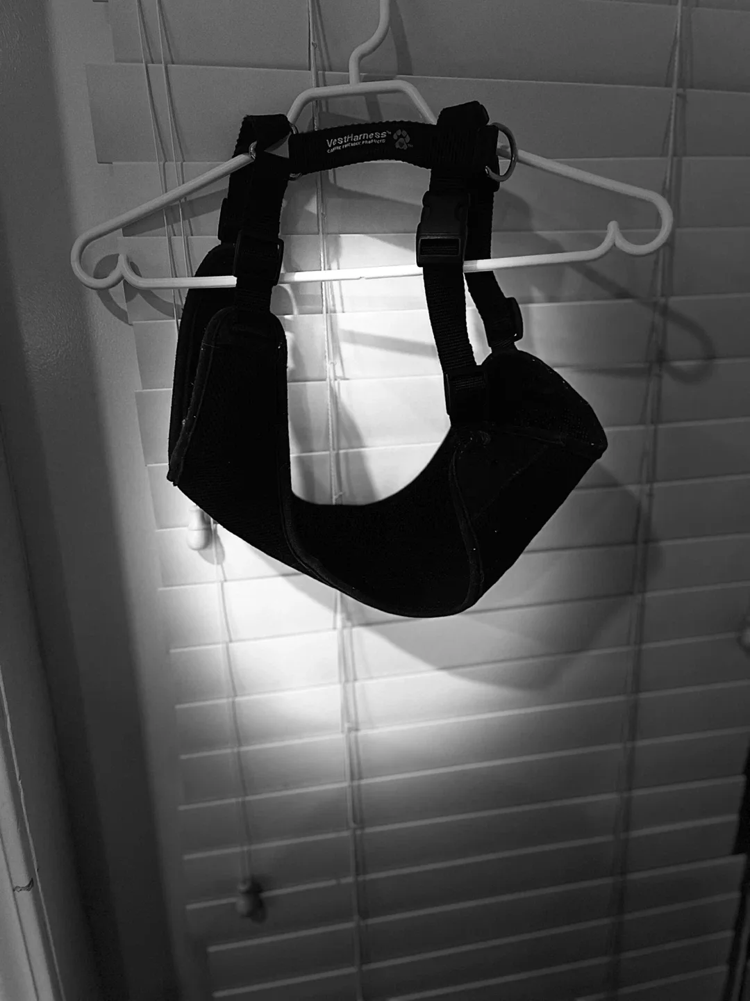 Top Paw Dog Life Jacket & Rain Coat image indicator(8)