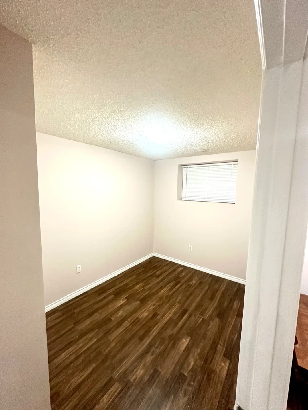 Renting Basement image indicator(5)