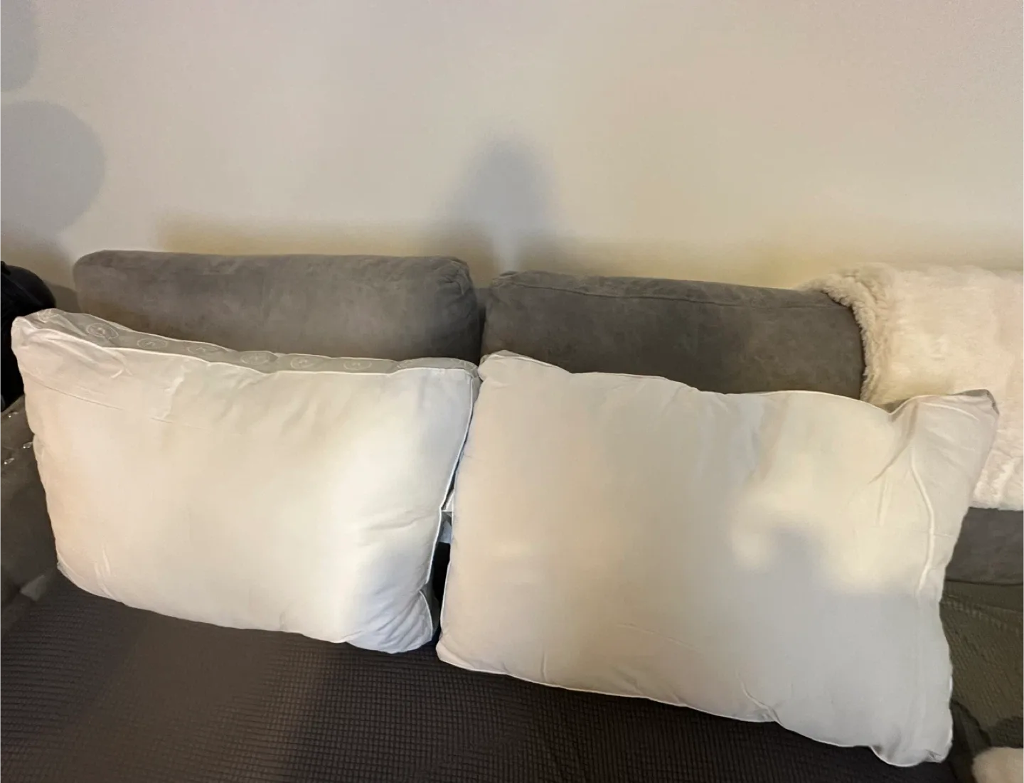 Martha Stewart Down Pillows (Set of 2)