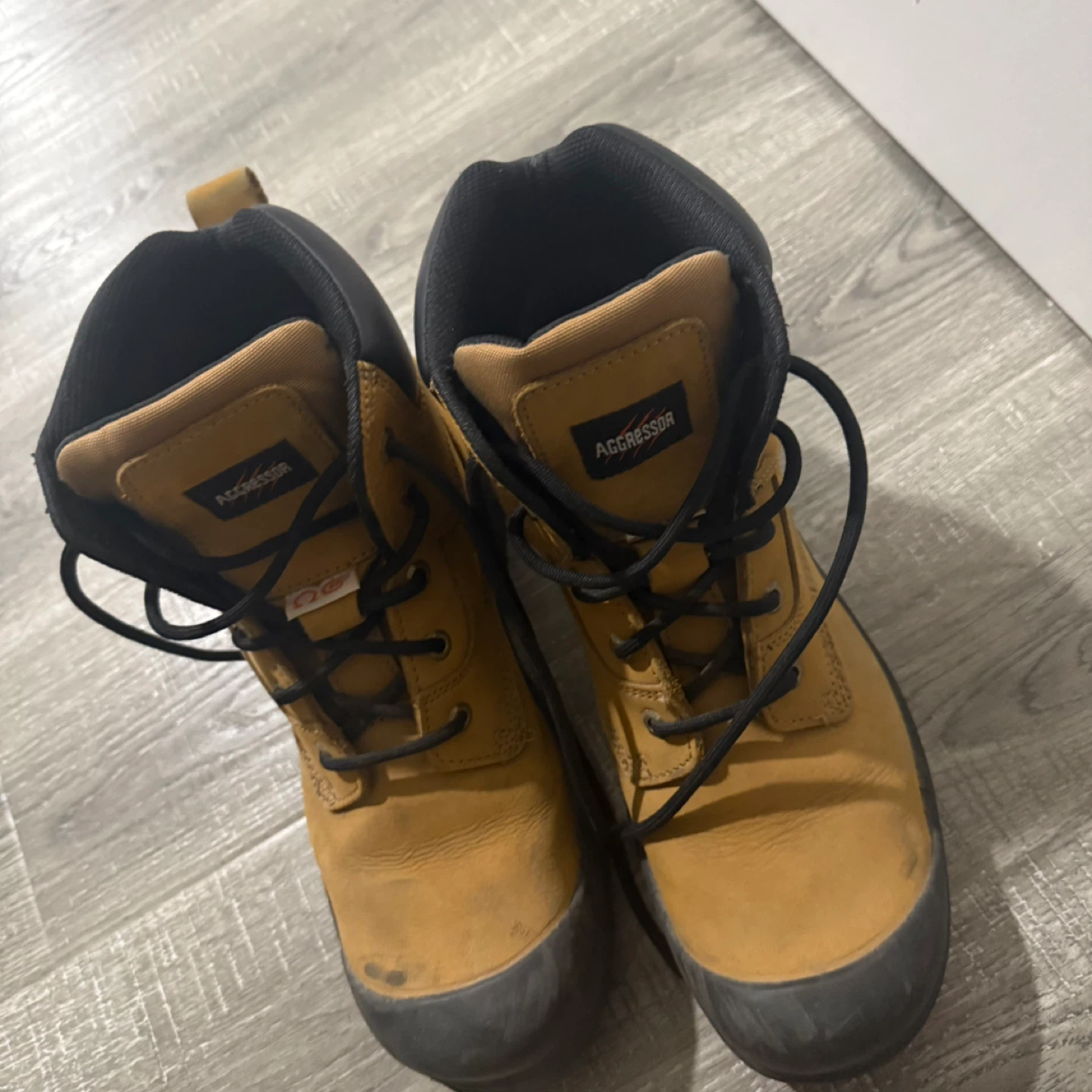Dakota Aggressor 10.5 Boots