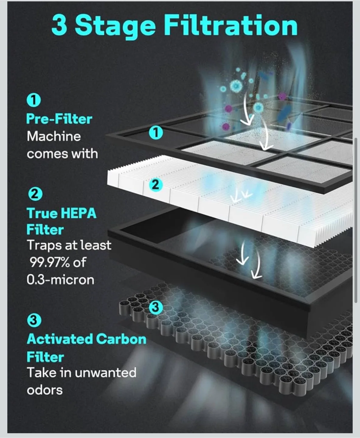 Leemone 2 Pack Vital 200S Replacement Filter image indicator(5)