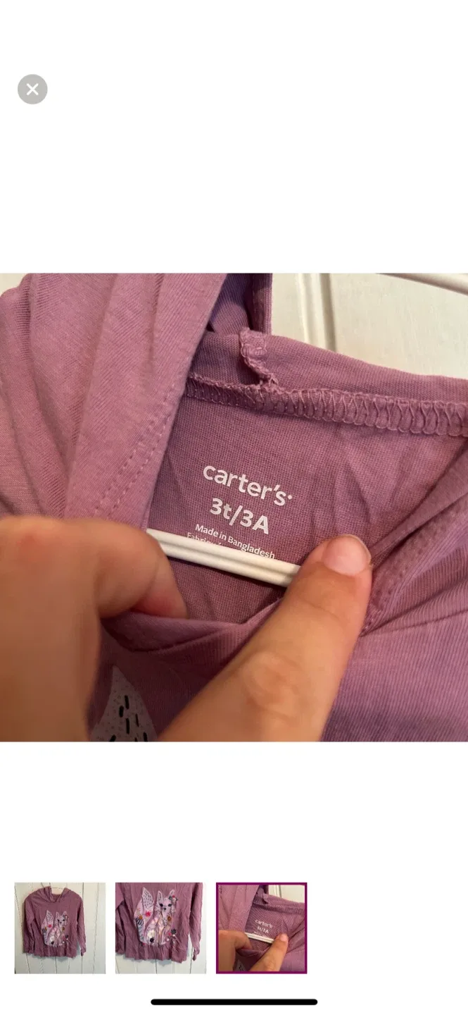 Carter's Hoodie - Size 3T image indicator(3)