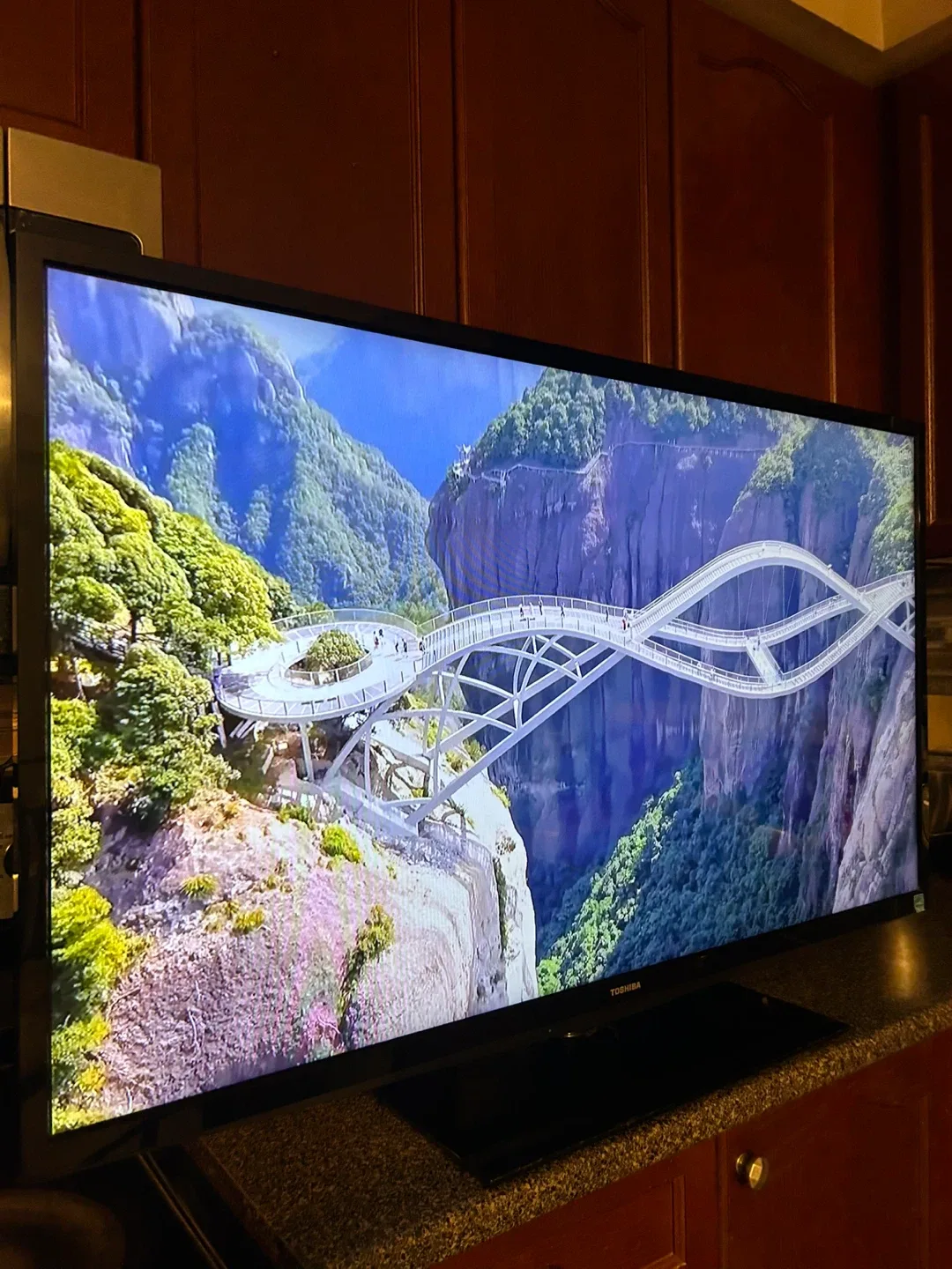 Toshiba 46" 1080p LED TV (for Monitor Use Only)