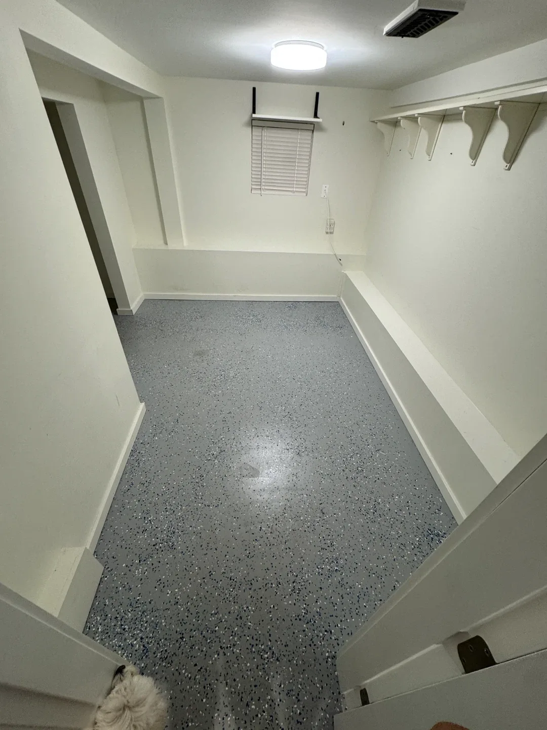 3bedroom/1bath basement image indicator(5)