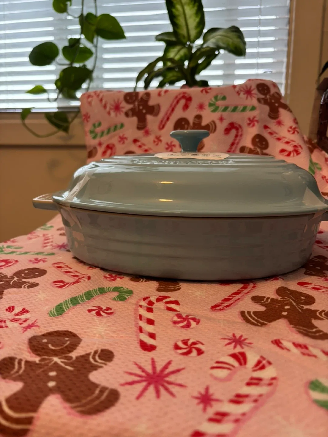 Le Creuset Oval Casserole Dish - Breeze image indicator(2)