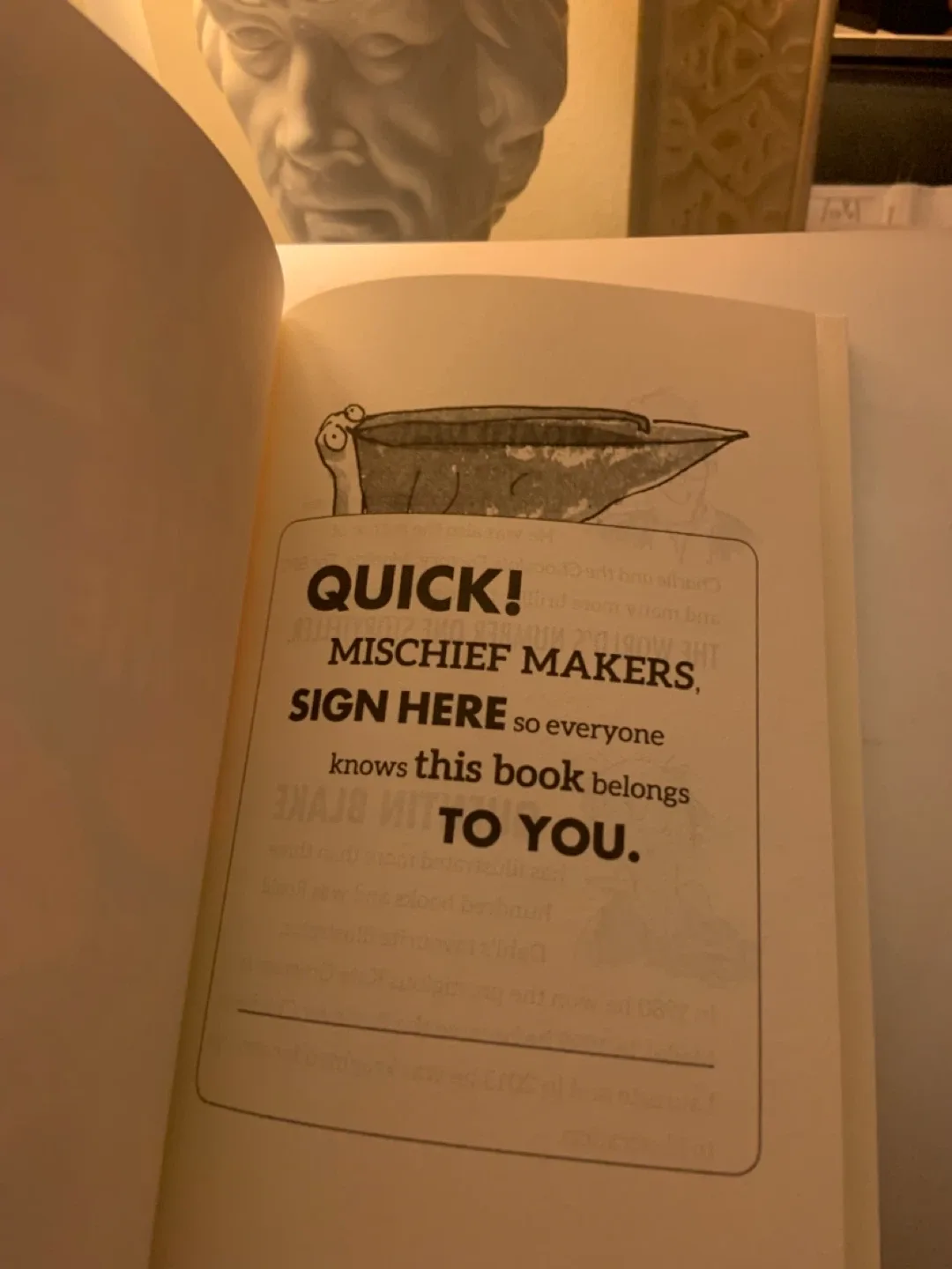 12 Roald Dahl Book Collection image indicator(7)